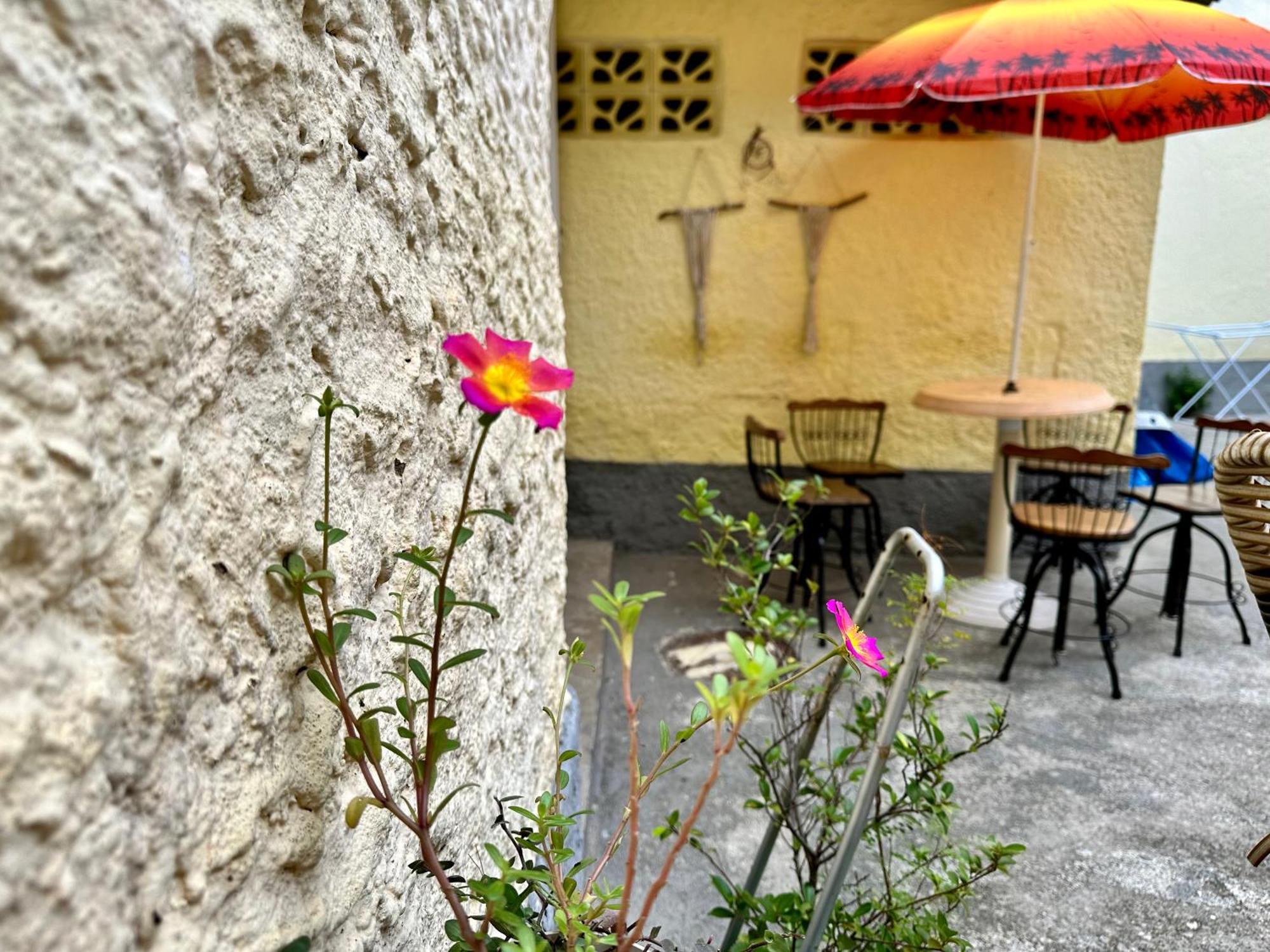 Homestay Casinha Tropical Rio de Janeiro Dış mekan fotoğraf